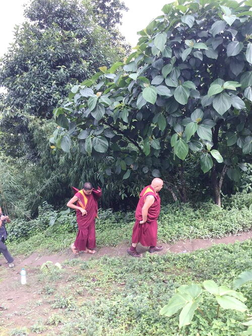 Hình ảnh giúp đỡ nạn nhân động đất tại Nepal