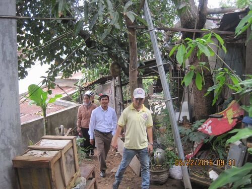 Đi thăm nhà và giúp đỡ các hoàn cảnh người già bệnh yếu, người tàn tật, và nghèo khó tại các vùng quê nhèo tỉnh Bình Định nhân mùa Phật đản