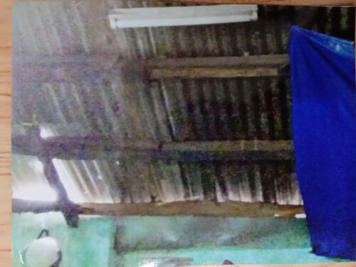 Giúp cụ già bệnh yếu nuôi con tâm thần lợp mái nhà che nắng che mưa trong mùa Vu Lan