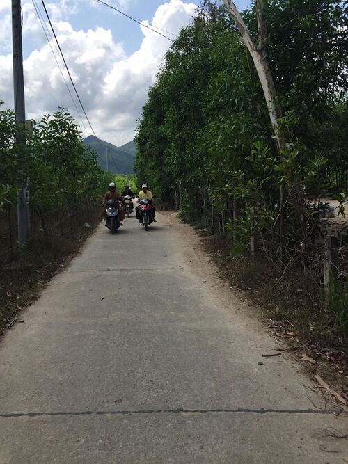 Thăm hỏi và giúp đỡ đồng bào nghèo khó tại Quy Nhơn trong mùa dịch bệnh